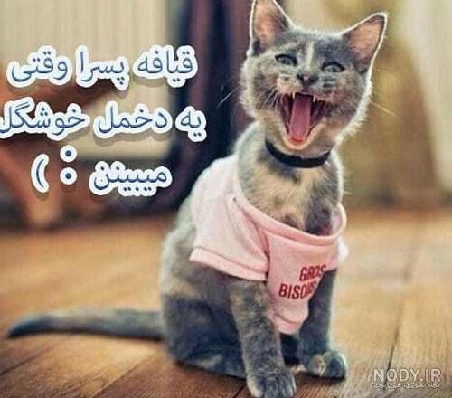 عکس ضد پسرها عکس ضد پسرها