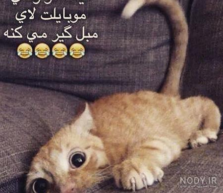 عکس نوشته ضد حال پسرا عکس نوشته ضد حال پسرا