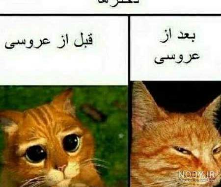 عکس نوشته ضد پسر جدید عکس نوشته ضد پسر جدید