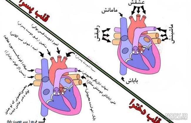 جوک ضد پسر 97 جوک ضد پسر 97