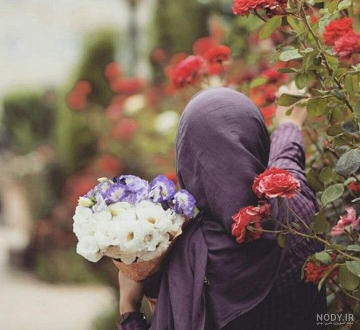 عکس گل و بلبل برای پروفایل عکس گل و بلبل برای پروفایل