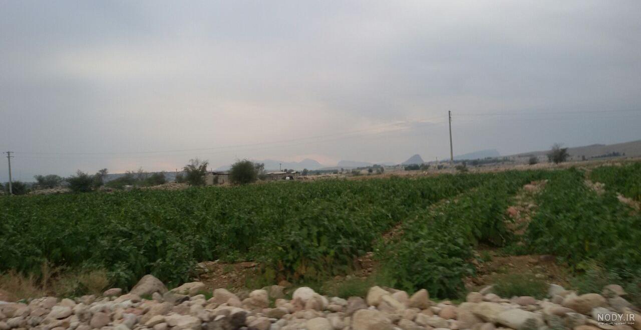 برنامه مالچی