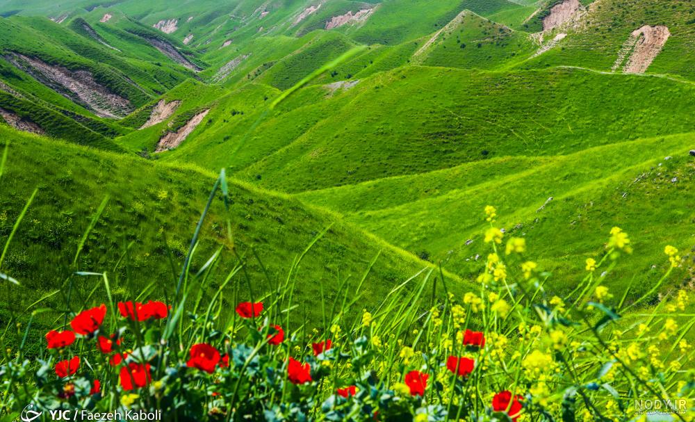 جاده خالد نبی