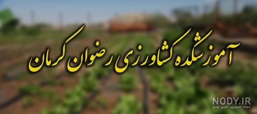 دکتر رکابی متخصص زنان اهواز