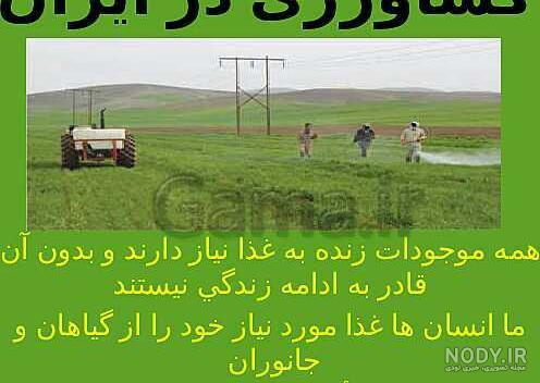 دکتر سوسن نیسی نی نی سایت