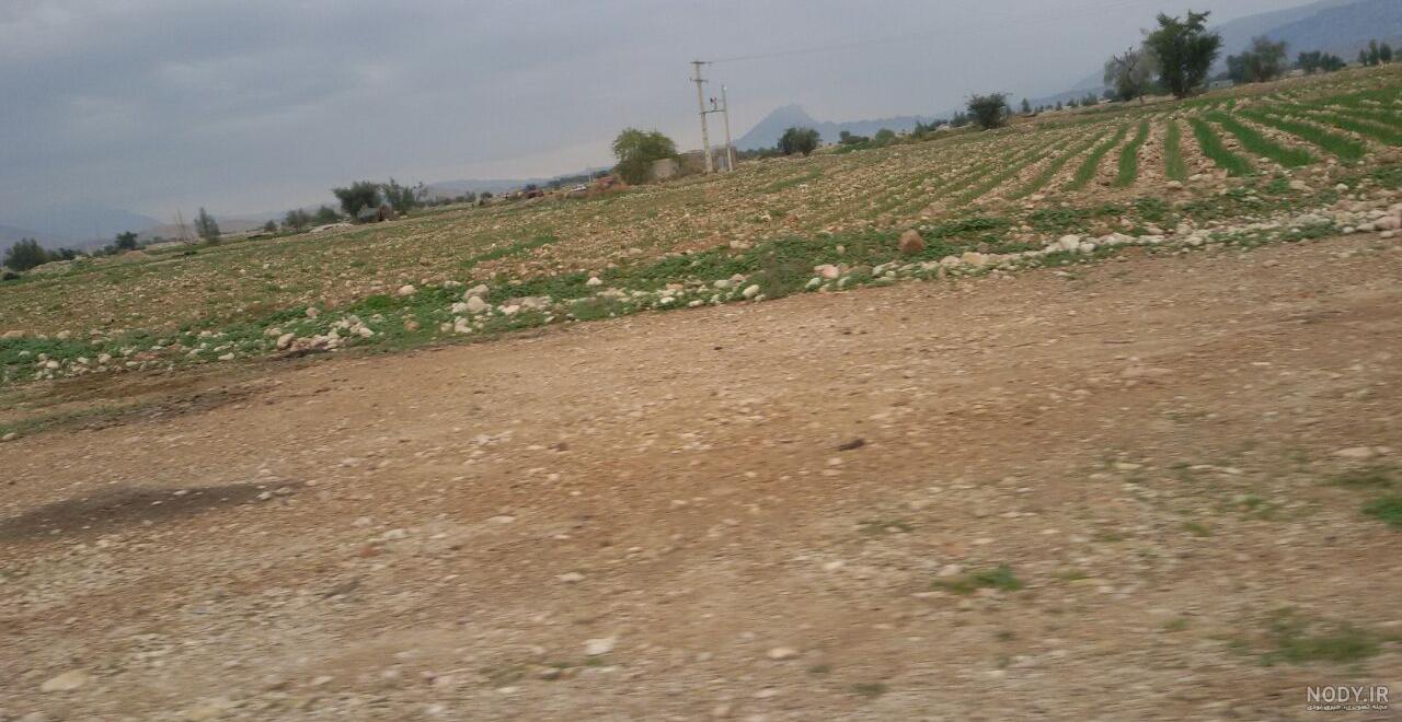 دکتر مهناز مالچی نی نی سایت