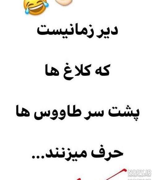 عکس خواهر حسود