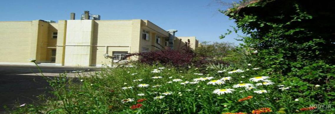عکس دانشگاه حضرت رقیه یزد