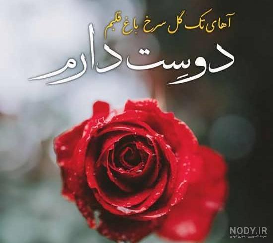 عکس دوستت دارم متحرک عکس دوستت دارم متحرک