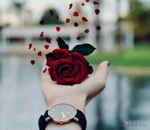 عکس پروفایل دونفره عکس پروفایل دونفره