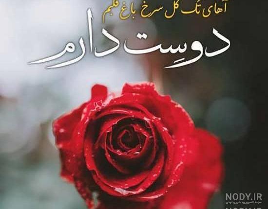 عکس گل با نوشته دوستت دارم عکس گل با نوشته دوستت دارم