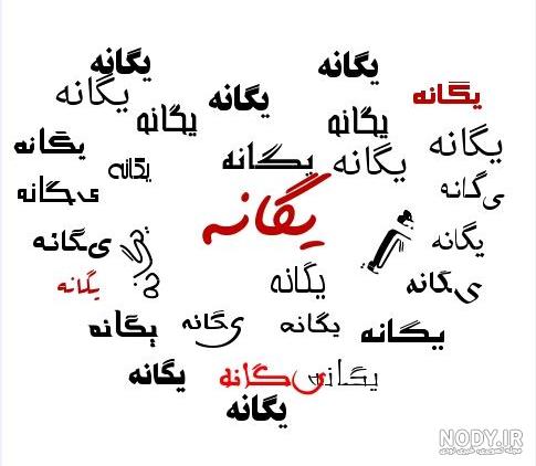 پروفایل اسم ریحانه به انگلیسی