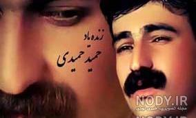 پسرخوانده زهره حمیدی