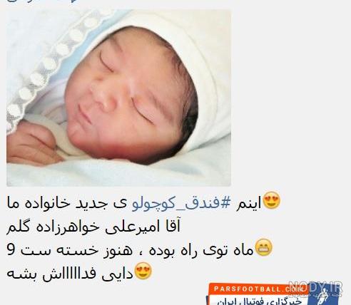 گلهای طارمی در پورتو گلهای طارمی در پورتو