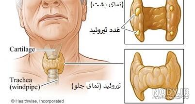 دکتر ستایشی جراح عمومی کرمانشاه دکتر ستایشی جراح عمومی کرمانشاه