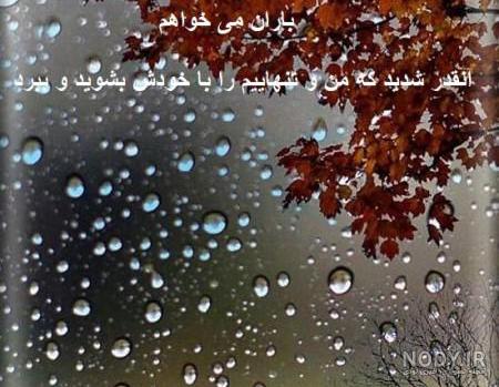 عکس بارانی زیبا عکس بارانی زیبا