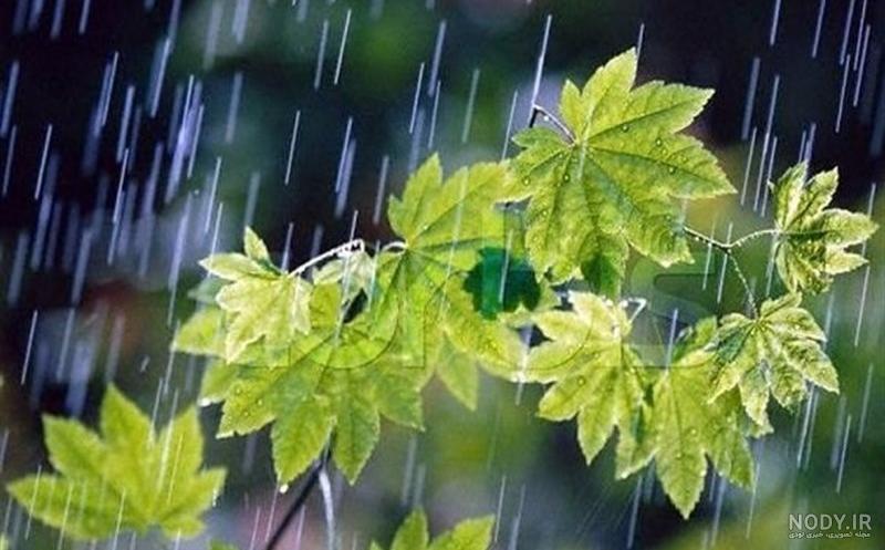 عکس هوای بارانی عکس هوای بارانی