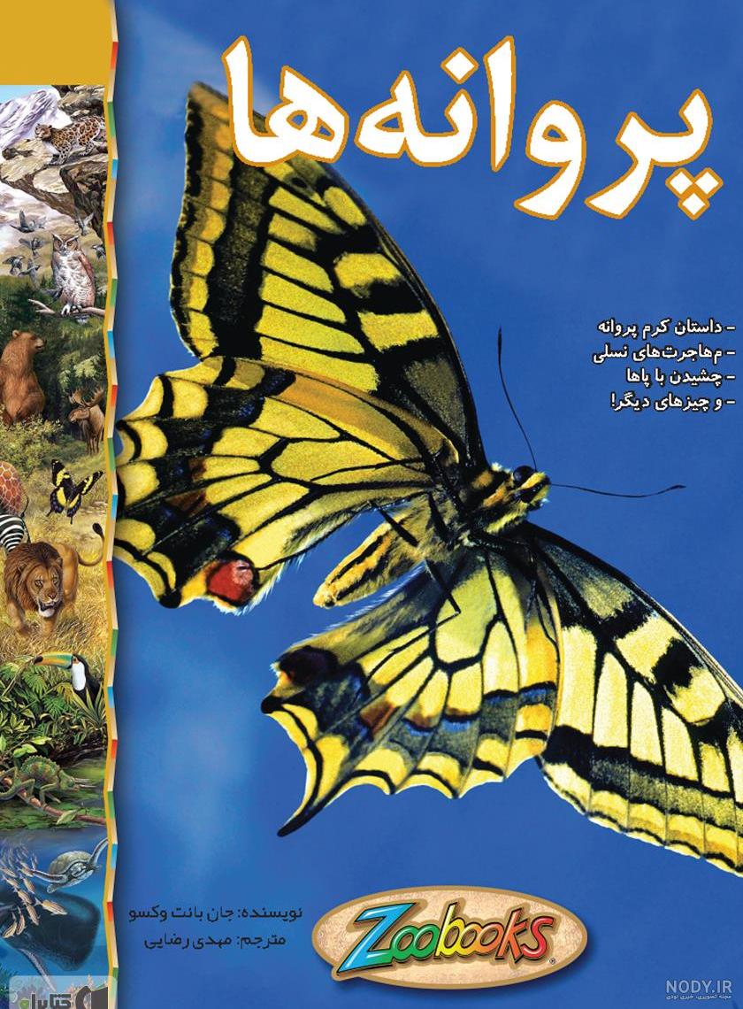 عکس پروانه بزرگ