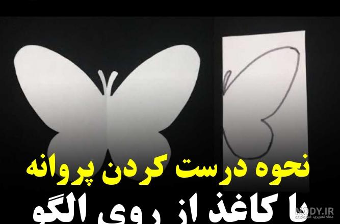 مدل پروانه دیواری مدل پروانه دیواری