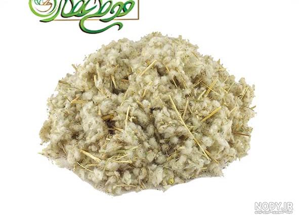 خواص مریم گلی برای رحم خواص مریم گلی برای رحم