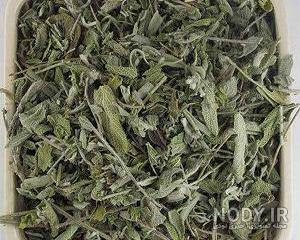 خواص مریم گلی پنبه ای خشک شده خواص مریم گلی پنبه ای خشک شده