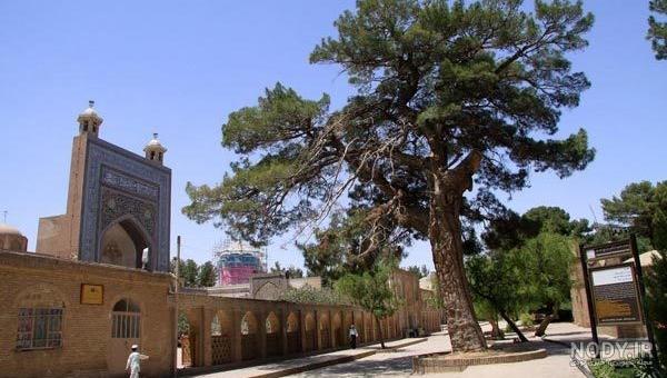 عکس شیخ احمد جام