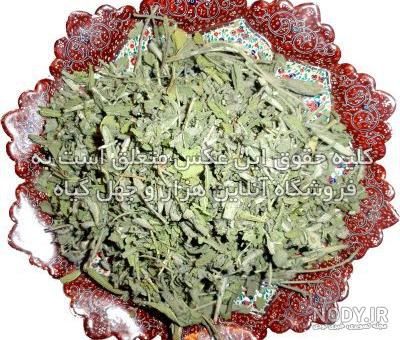 عکس مریم گلی کوهی