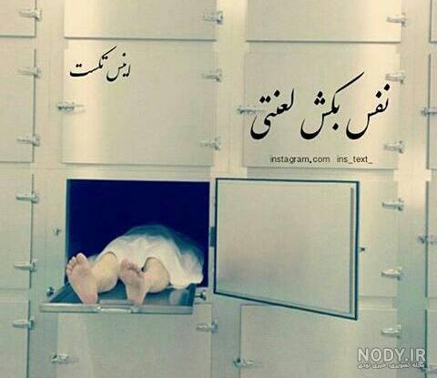 عکس نفس حسینی عکس نفس حسینی