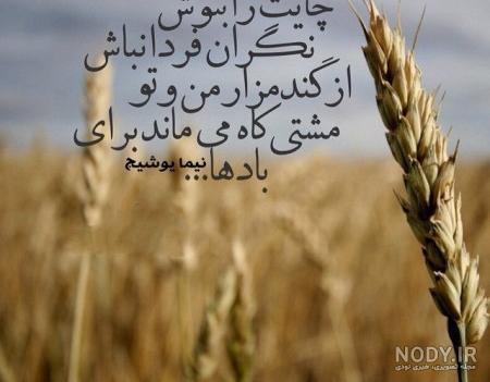عکس نوشته شعرهای نیما یوشیج عکس نوشته شعرهای نیما یوشیج