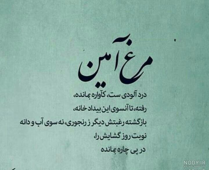 مجموعه کامل اشعار نیما یوشیج مجموعه کامل اشعار نیما یوشیج