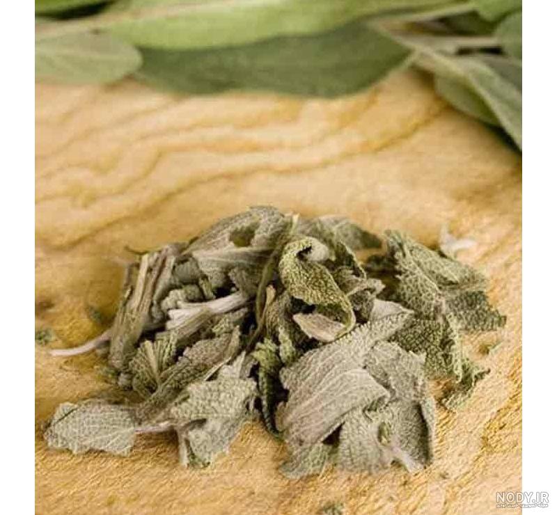 مریم گلی چیست مریم گلی چیست