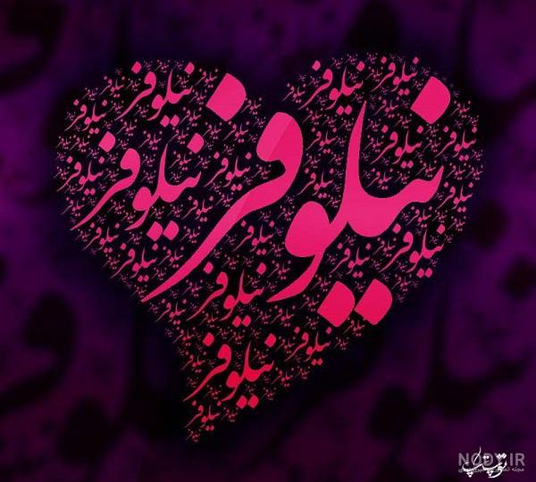 نیلوفر در شعر حافظ نیلوفر در شعر حافظ
