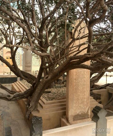 کرامات شیخ احمد جامی