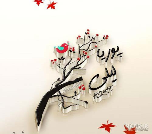 کیک هادی جان تولدت مبارک کیک هادی جان تولدت مبارک