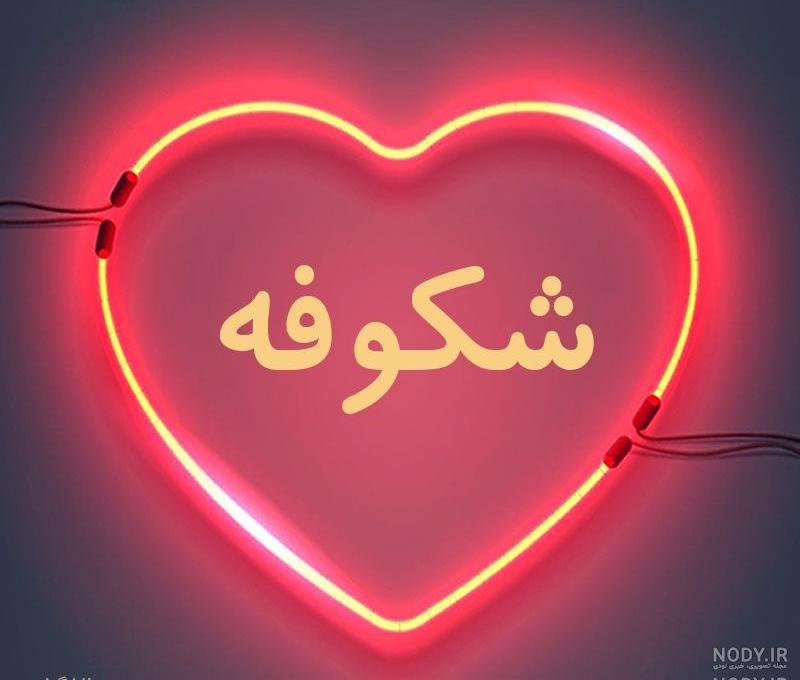 آهنگ تولدت مبارک شکوفه