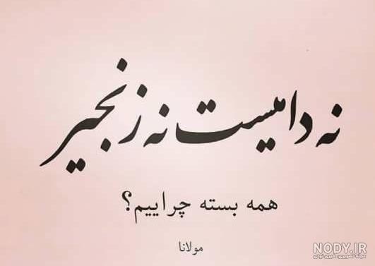 استوری شعر مولانا