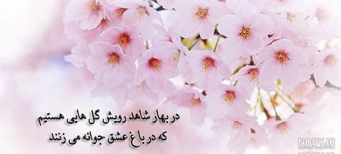 تصاویر بهاری جدید تصاویر بهاری جدید