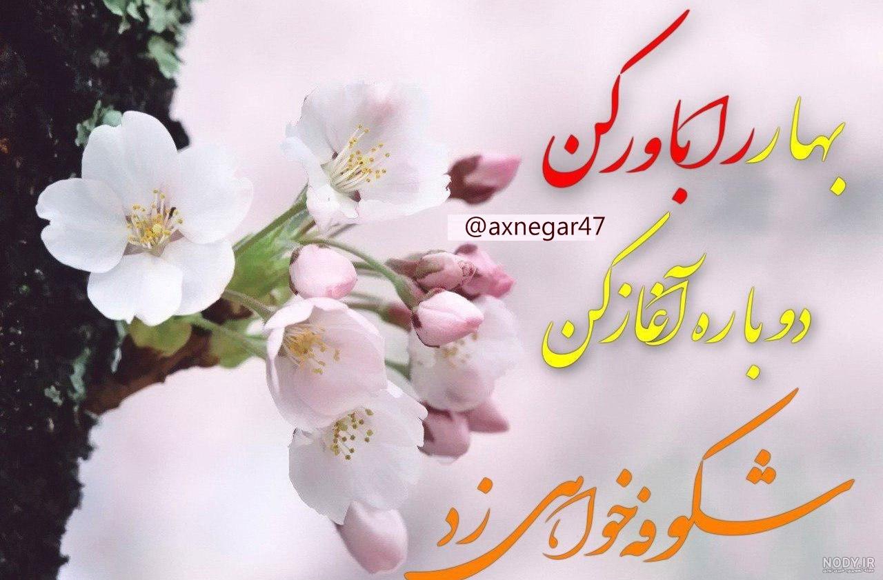 تصاویر بهاری جدید تصاویر بهاری جدید