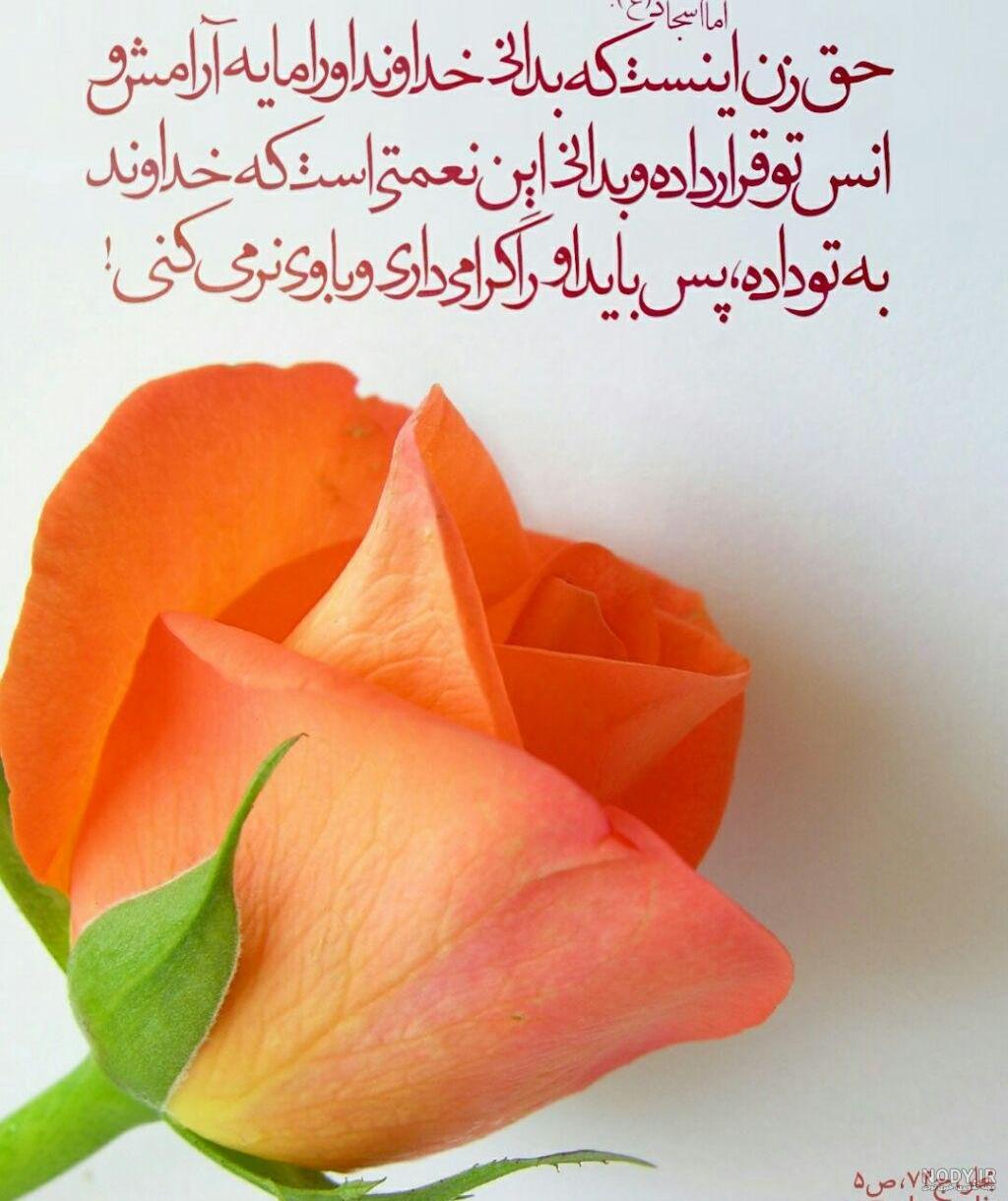 حدیث امام حسین درباره خانواده