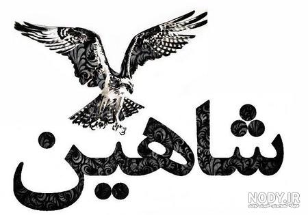 شاهین جان تولدت مبارک