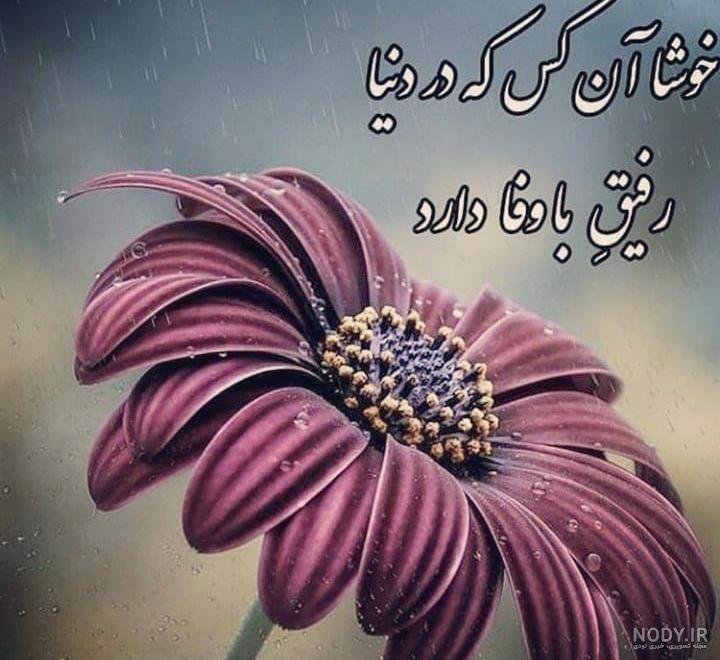 عکس تیکه انداختن به رفیق نامرد عکس تیکه انداختن به رفیق نامرد