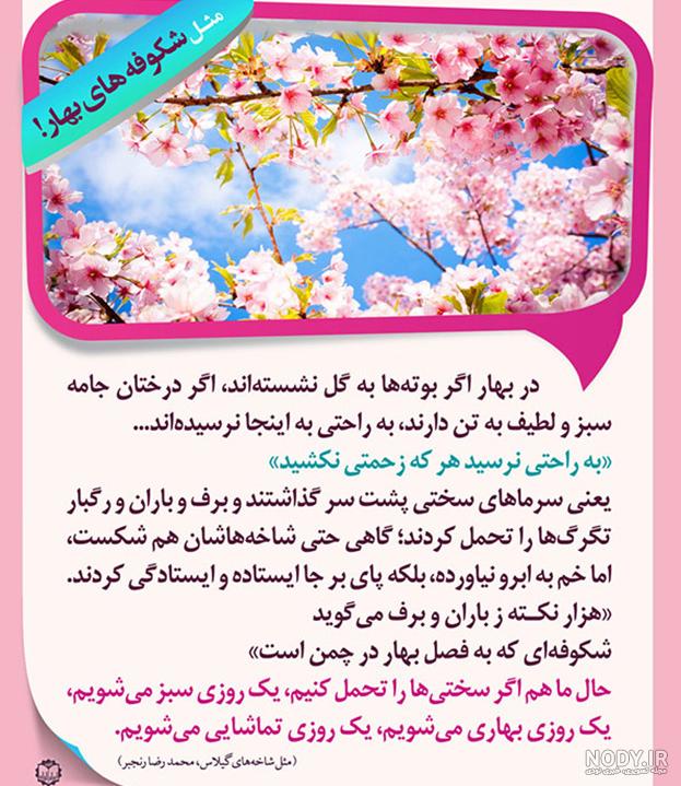 عکس درخت بهاری