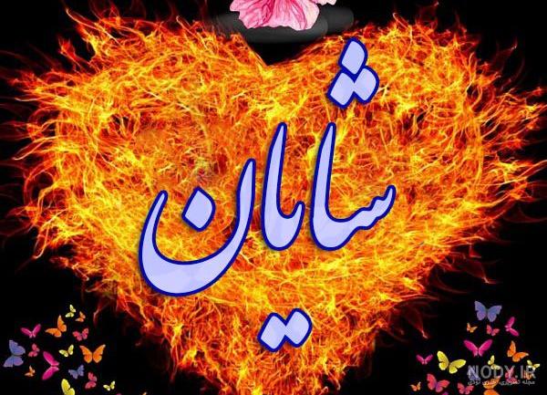 عکس شایان خواننده عکس شایان خواننده