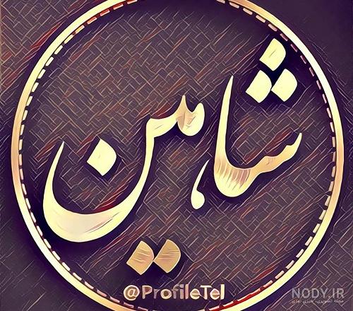 معنی شاهین به ترکی