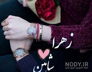 پروفایل پرنده شاهین
