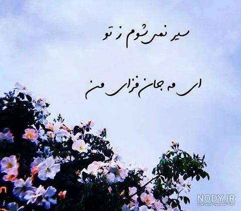 کتاب شعر مولانا