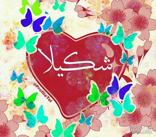 گل شکیلا
