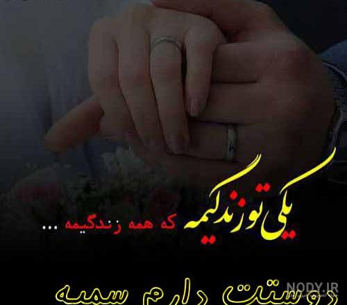 پروفایل رضا عاشقتم پروفایل رضا عاشقتم