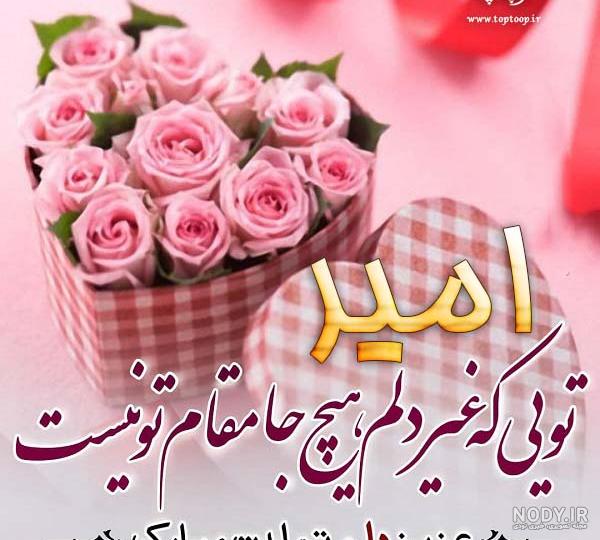 امیرحسین عشق عمه تولدت مبارک
