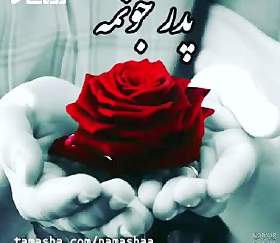 بابا خیلی دوست دارم بابا خیلی دوست دارم